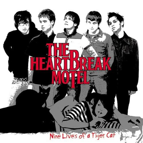 Nine Lives of a Tiger Cat Alternative & Indie