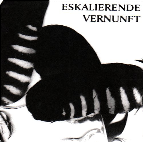 Eskalierende Vernunft Rock