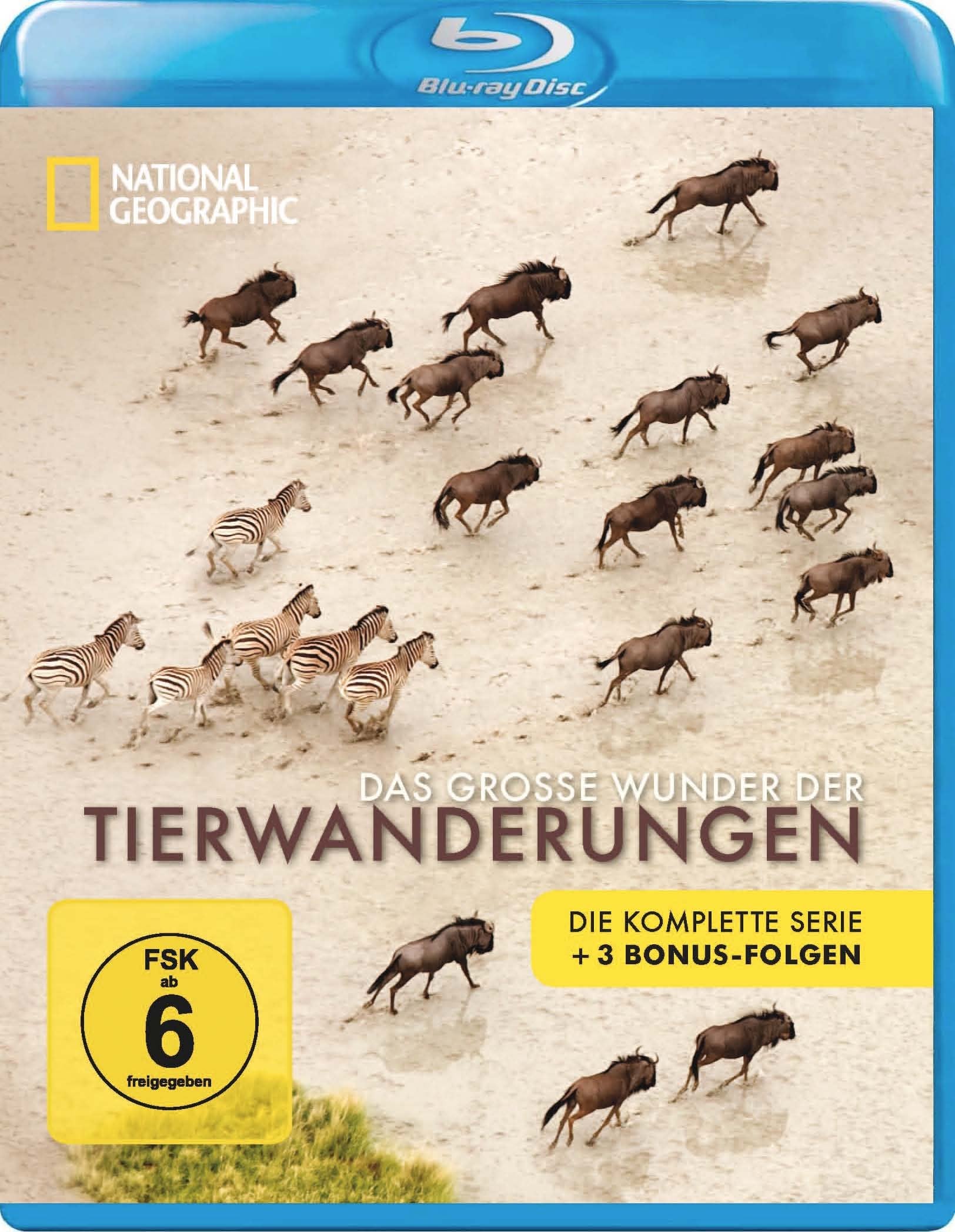 Das große Wunder der Tierwanderungen - National Geographic Films