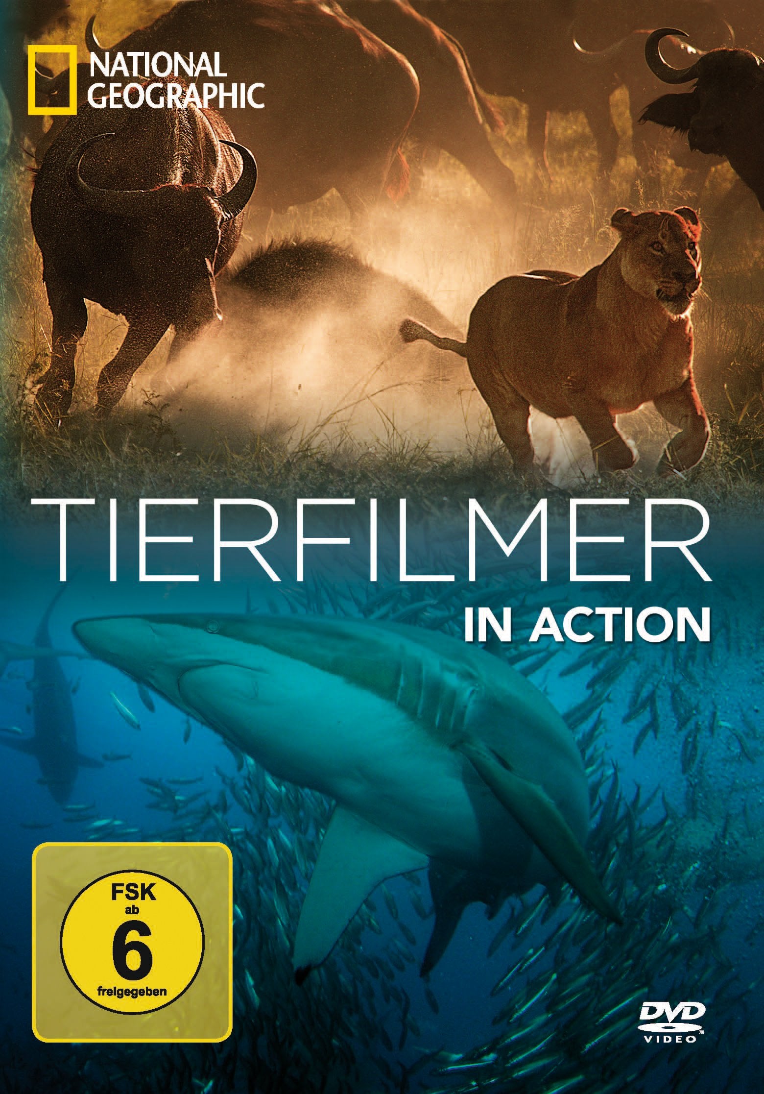 Tierfilmer in Action - National Geographic Films