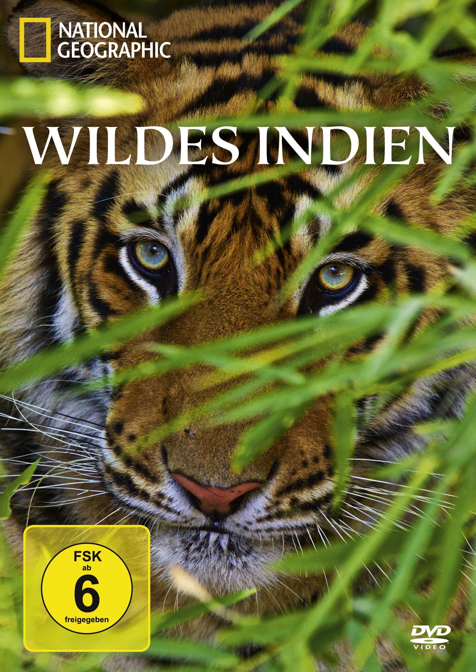 Wildes Indien - National Geographic Films