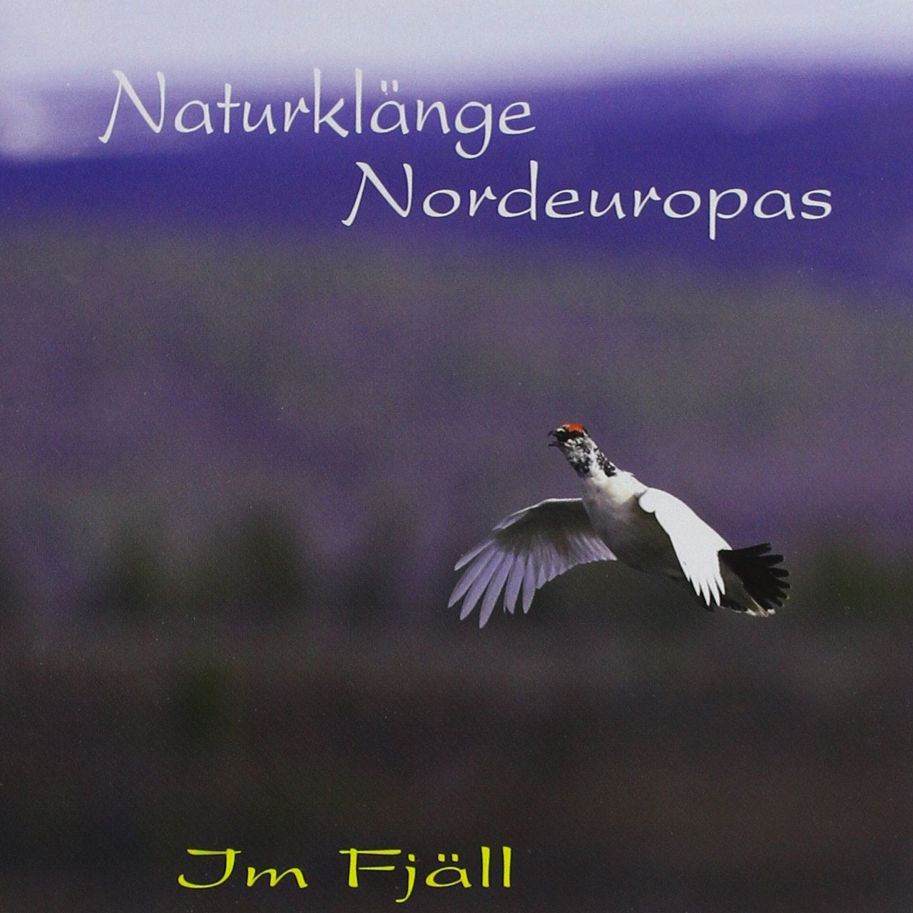 Im Fjäll Music