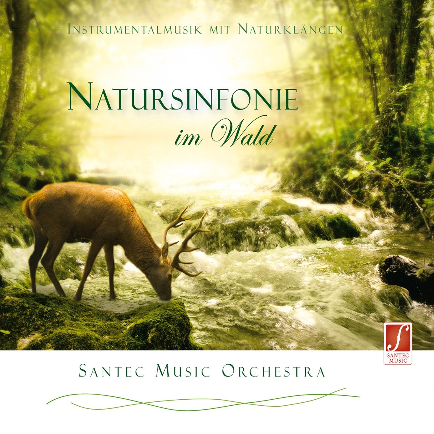 CD Natursinfonie im Wald Music for Children
