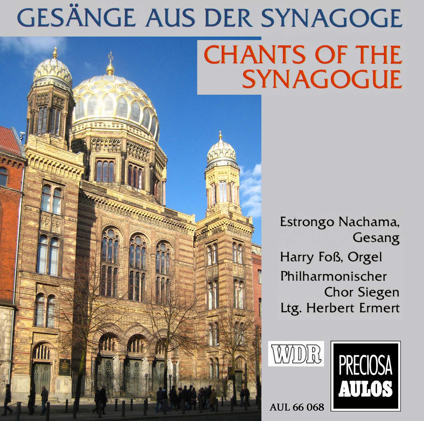 Product Image: Gesänge aus der Synagoge