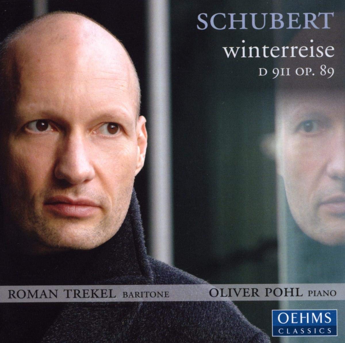 Winterreise d.911 Op.89 Classical