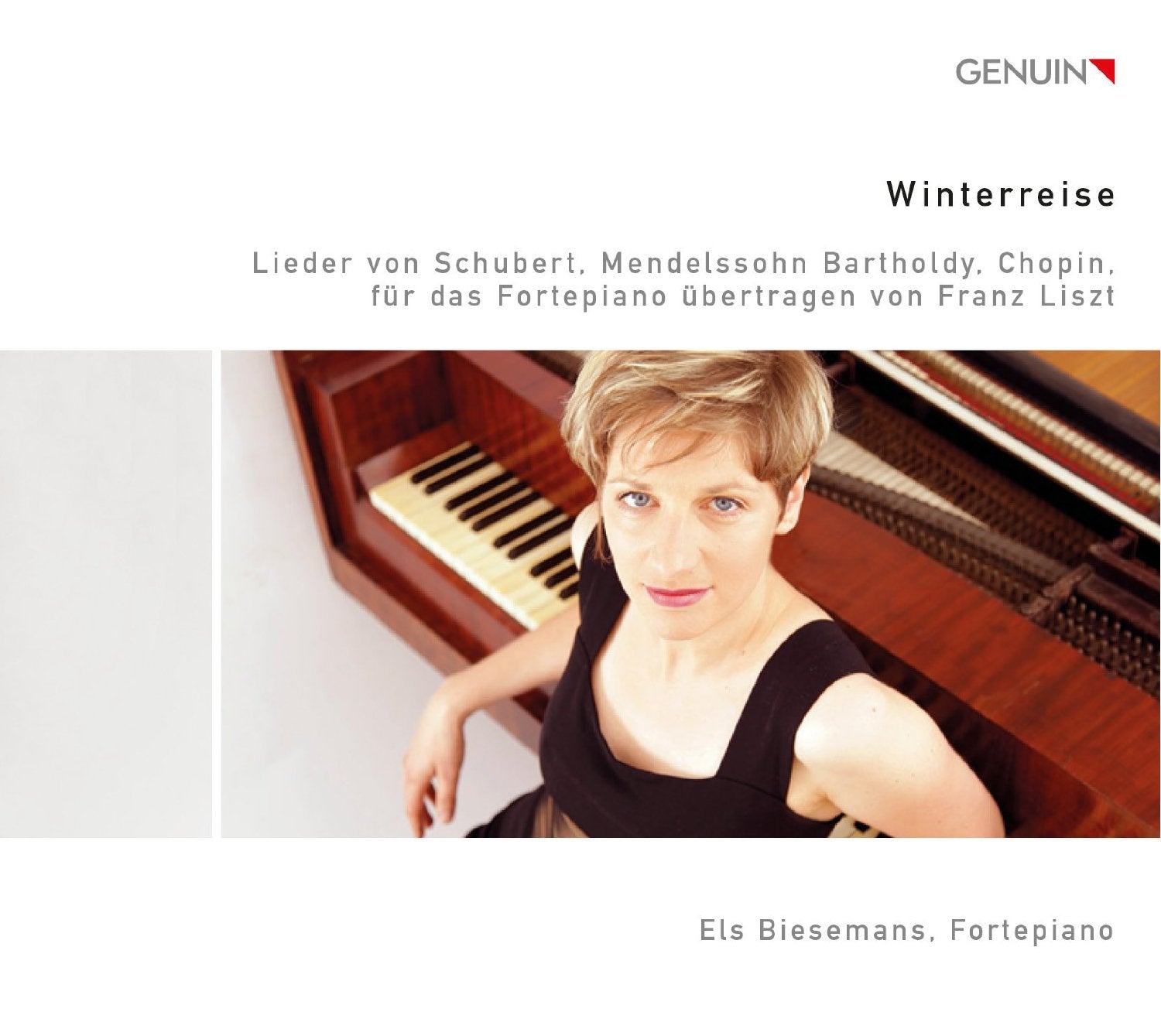Winterreise-Liedtranskriptionen Classical