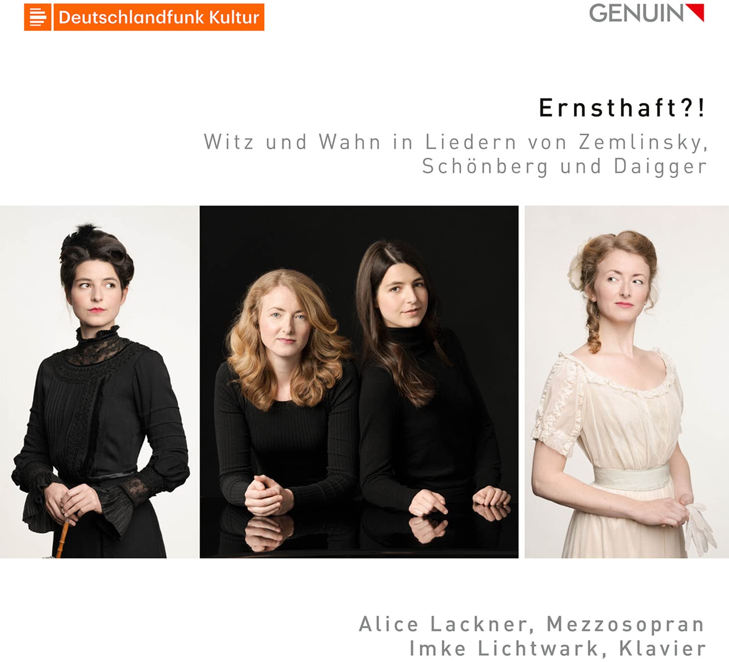 Product Image: Ernsthaft ?!-Witz und Wahn in Liedern