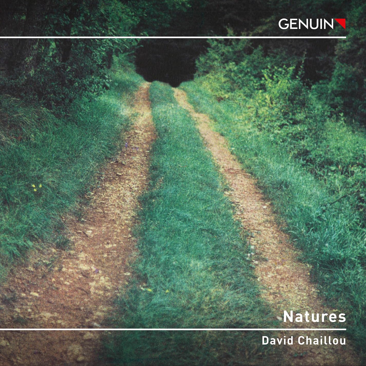 David Chaillou: Natures Classical