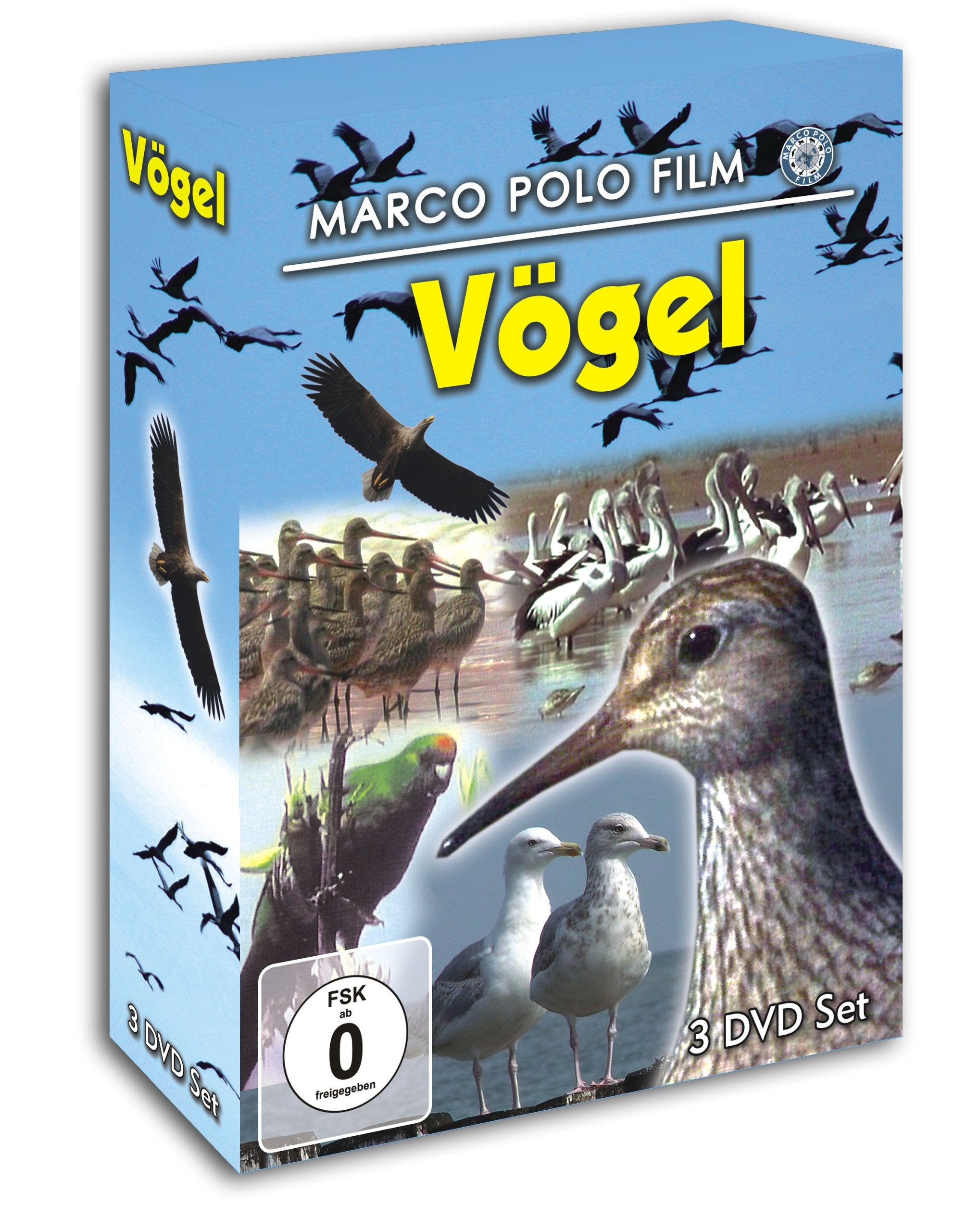 Vögel : Die seltensten Vögel Neuseelands - Zugvögel - Das Leben der Möwen Films