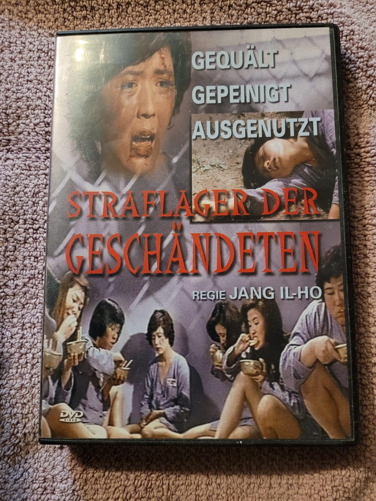 Product Image: Straflager der Geschändeten