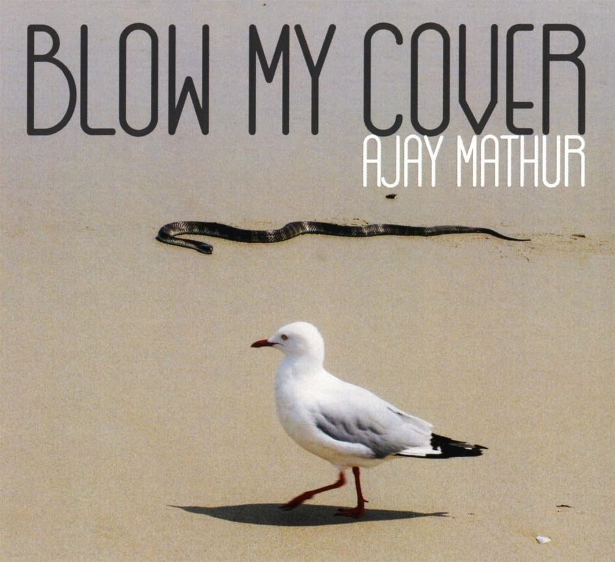 Product Image: Blow My Cover