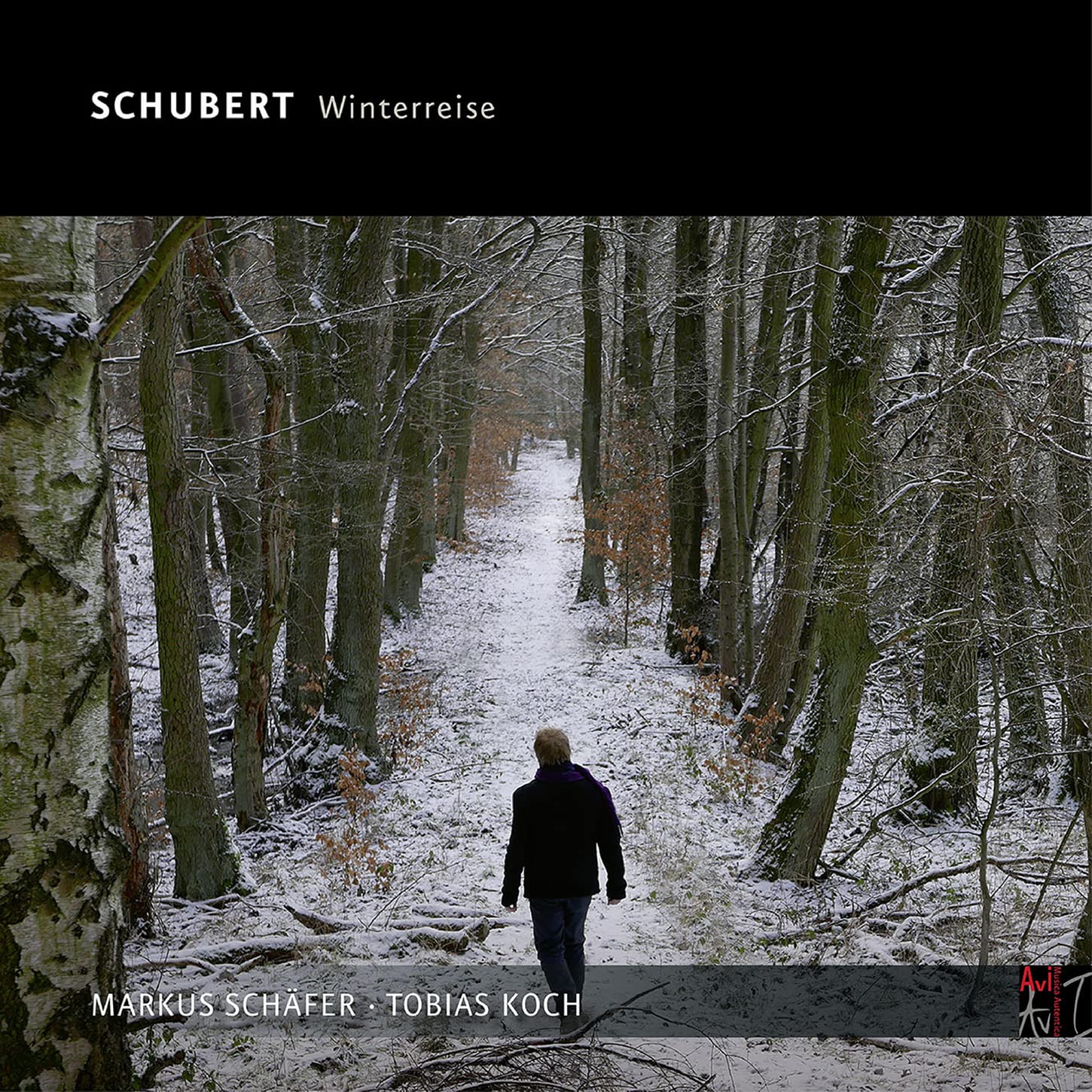 Schubert, die Winterreise Classical