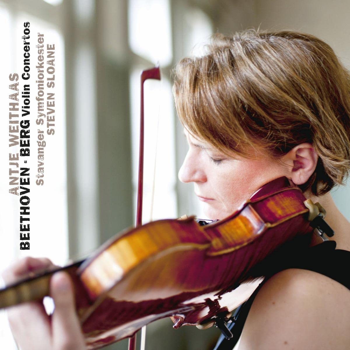 Product Image: Violin Concertos