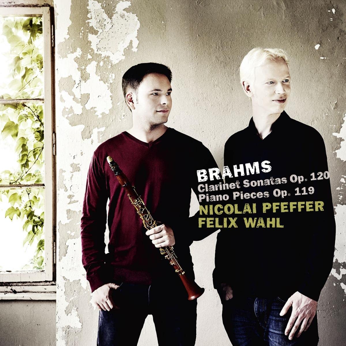 Clarinet & Piano Op.119 & 120 Classical