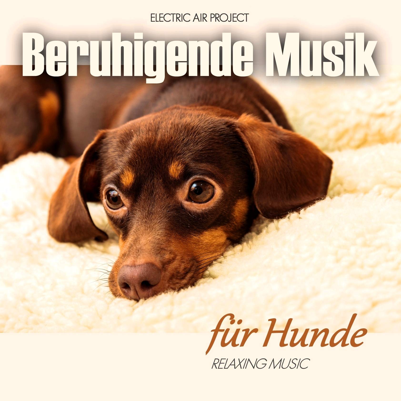 Beruhigende Musik Für Hunde Classical