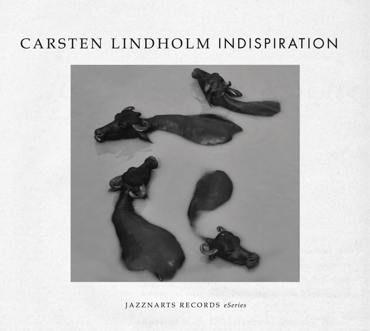 Product Image: Indispiration