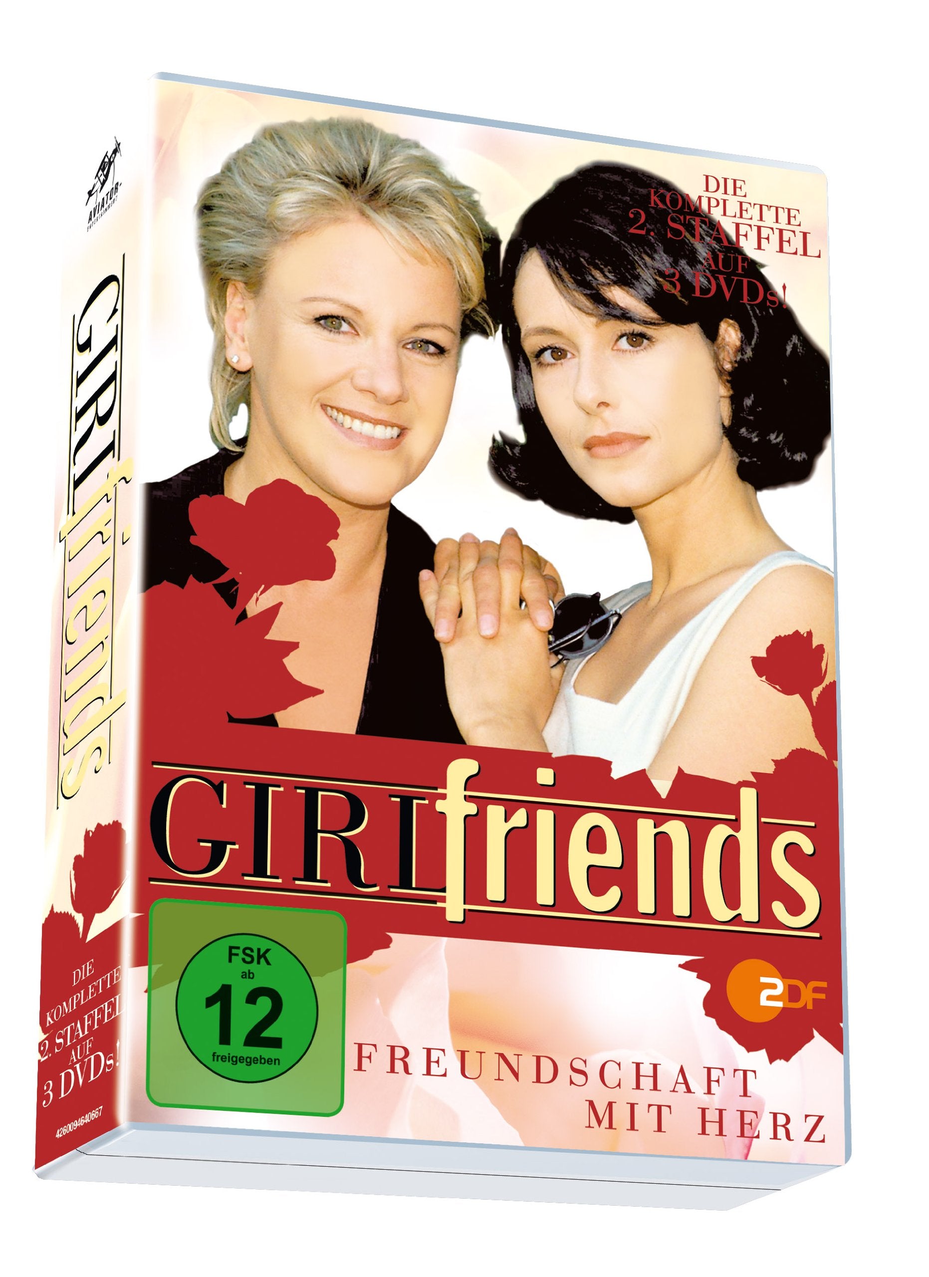 Girlfriends - die komplette 2. Staffel (3 DVDs) Box sets