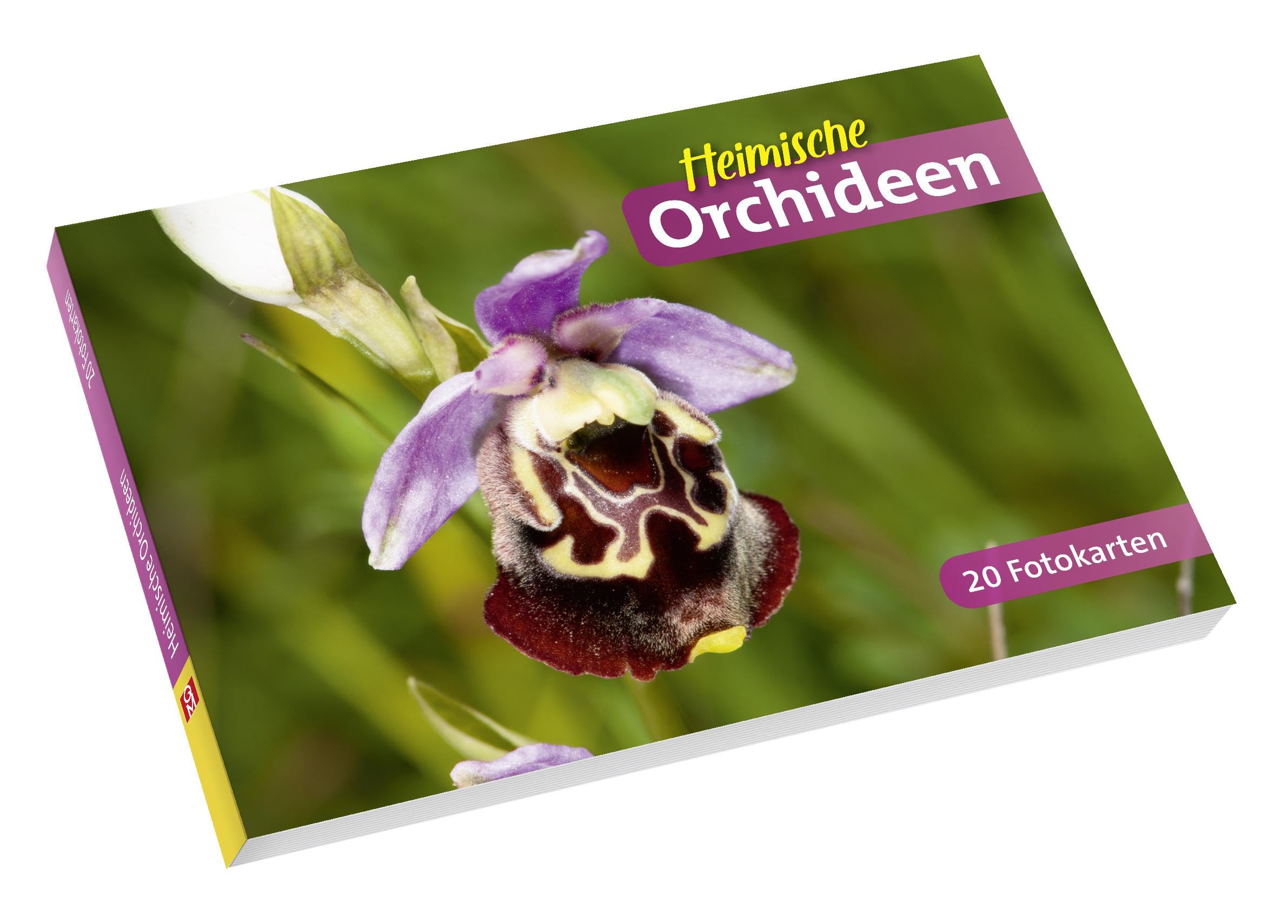 Heimische Orchideen: 20 Fotokarten Leisure, Home & Garden
