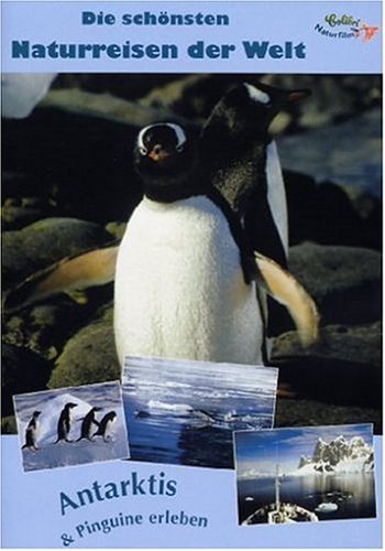 Product Image: Antarktis & Pinguine erleben