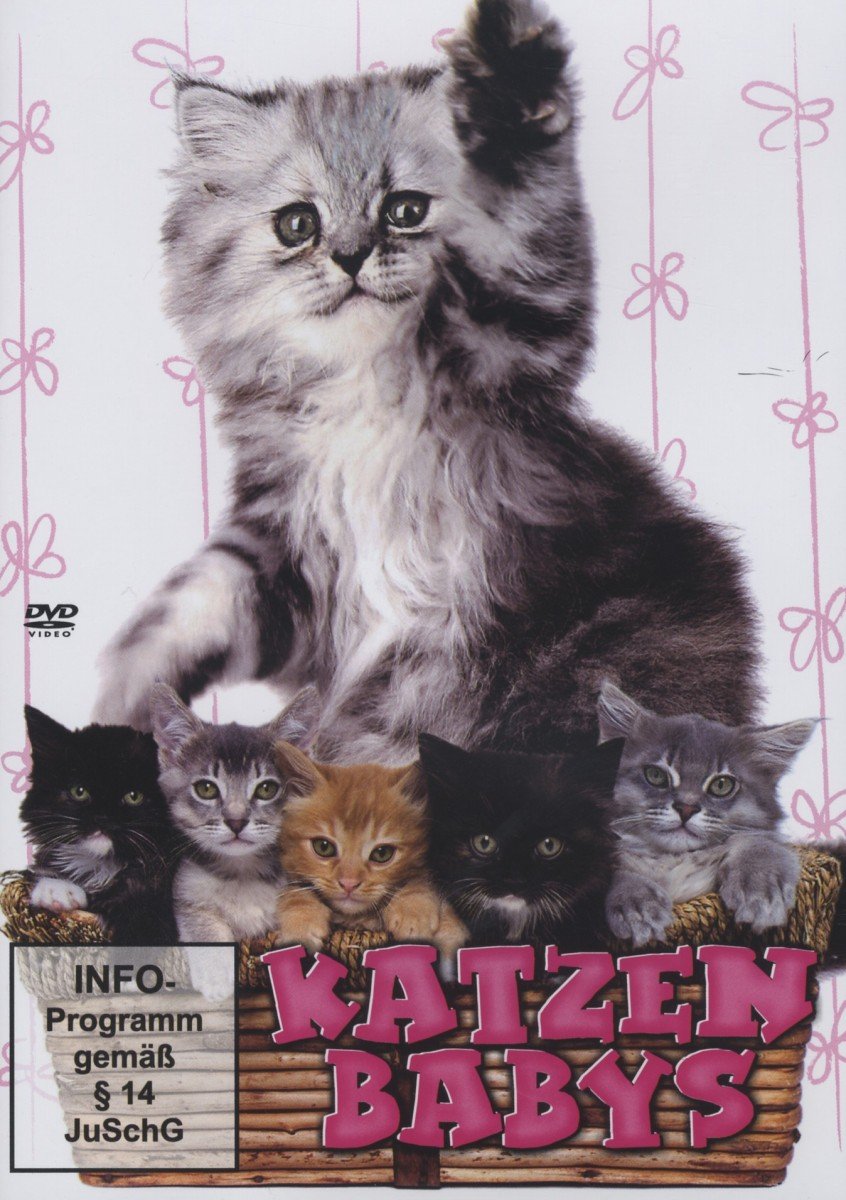 Katzenbabys Films