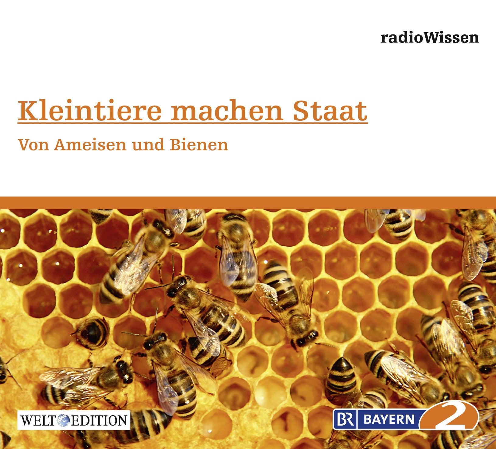 Kleintiere machen Staat - Von Ameisen und Bienen - Edition BR2 radioWissen/Welt-Edition Books