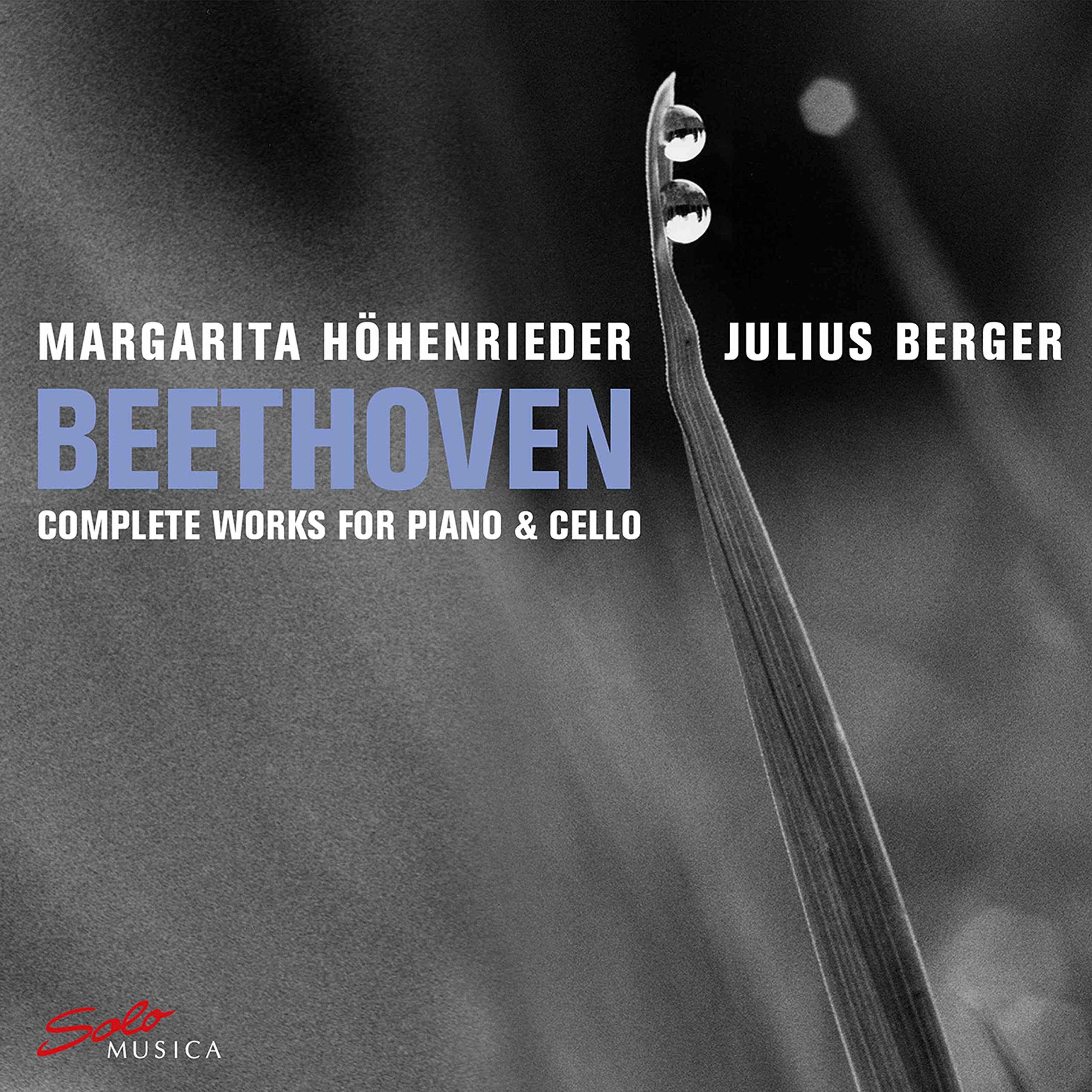 Beethoven-Complete Works for Piano and Cello Jazz