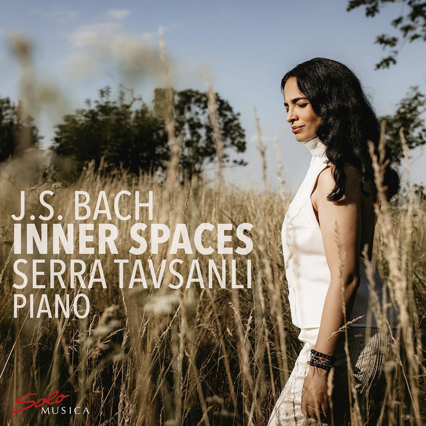 Inner Spaces Classical