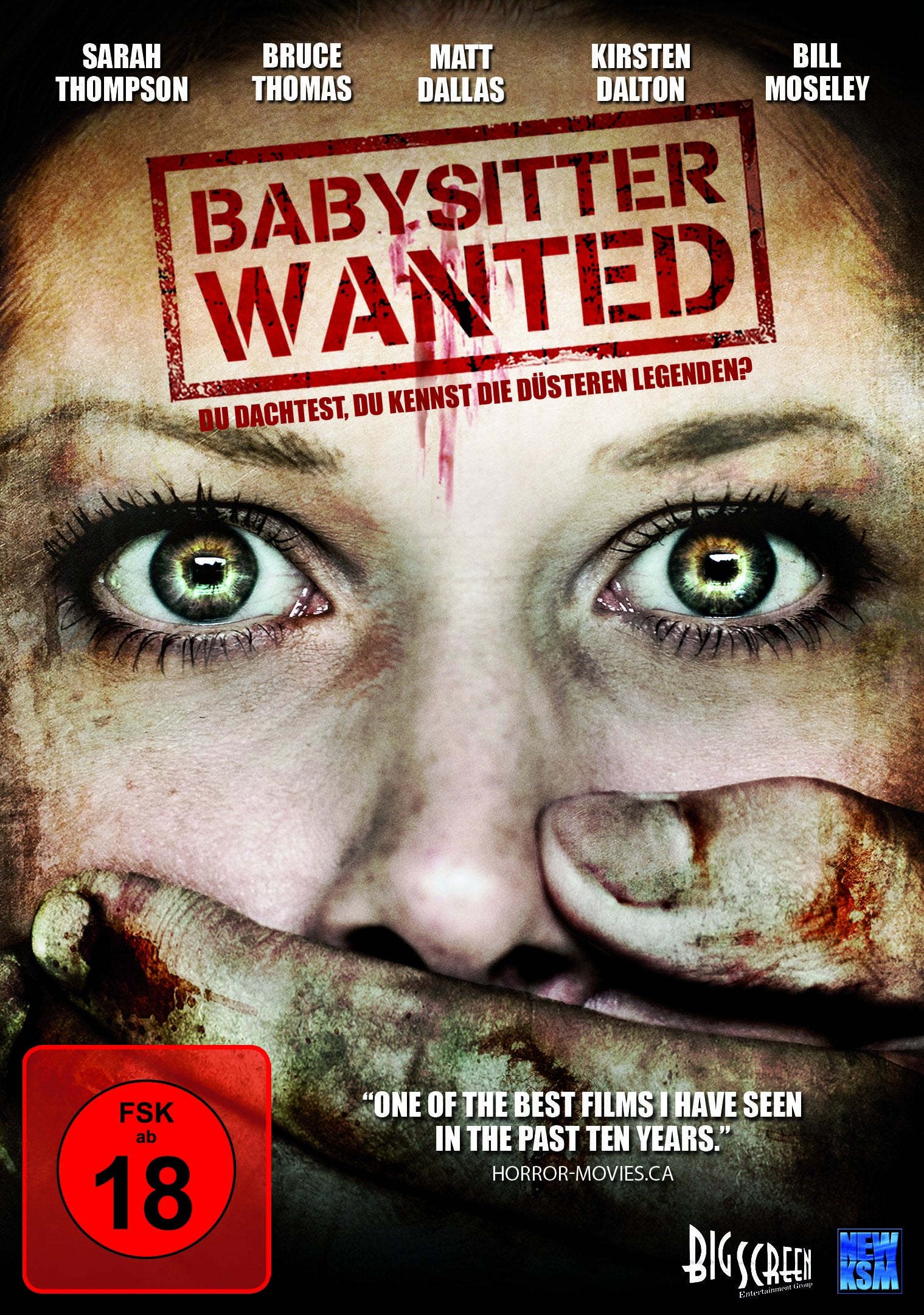Product Image: Babysitter Wanted