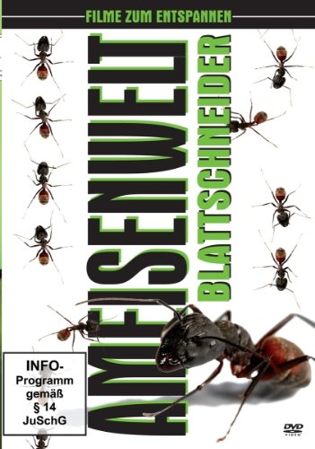 Product Image: Ameisenwelt - Blattschneider