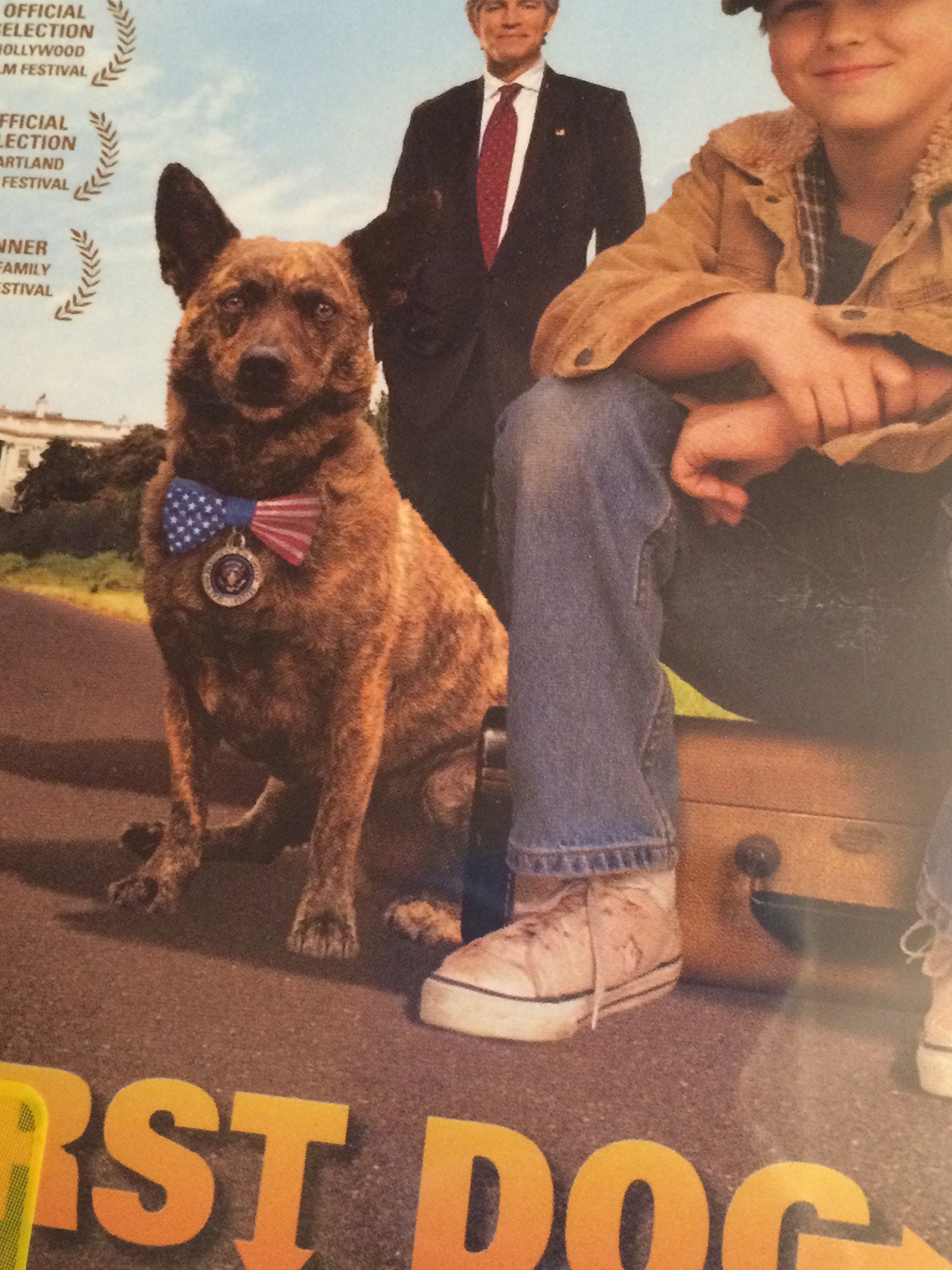 Product Image: First Dog - Zurück nach Hause