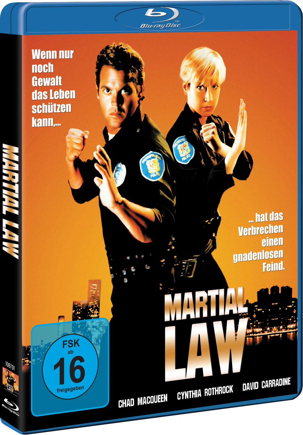 Martial Law 1 - Action mit Cynthia Rothrock - Explosives Martial Arts Abenteuer Movies