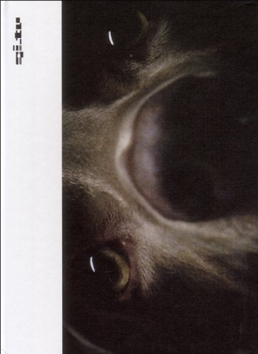 Ambient Motion Pictures - Vis-á-vis Films
