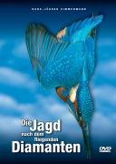 Die Jagd nach dem fliegenden Diamanten - Faszination Eisvogel Films