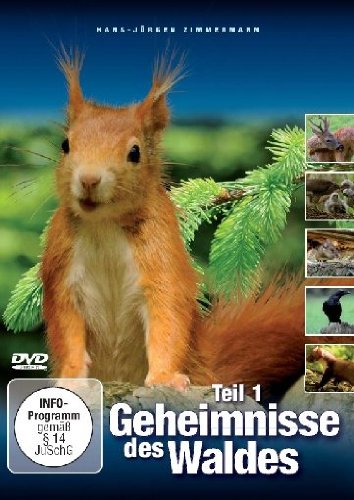 Geheimnisse des Waldes Teil 1 Films