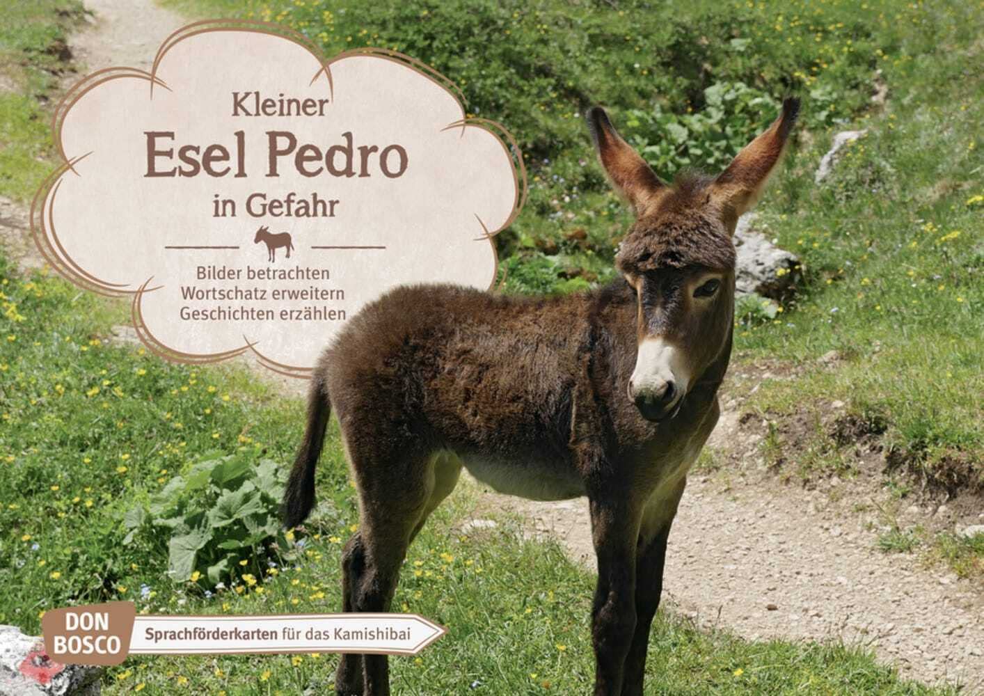 Kleiner Esel Pedro in Gefahr. Kamishibai Bildkartenset.: Bilder betrachten. Wortschatz erweitern. Geschichten erzählen: Sprachförderkarten für das ... für unser Erzähltheater Kamishibai) Education & Training