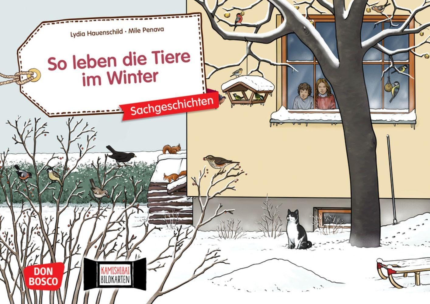 So leben die Tiere im Winter. Kamishibai Bildkartenset.: Entdecken - Erzählen - Begreifen: Sachgeschichten (Sachgeschichten für unser Erzähltheater) book