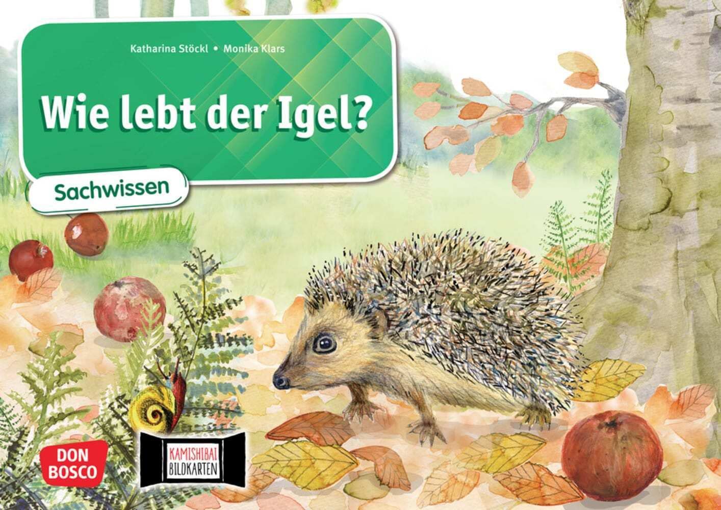 Wie lebt der Igel? Kamishibai Bildkartenset.: Entdecken - Erzählen - Begreifen: Sachwissen. Eine Sachgeschichte für das Kamishibai. Geeignet für den ... 1 bis 4. (Sachwissen für das Kamishibai) Education & Training