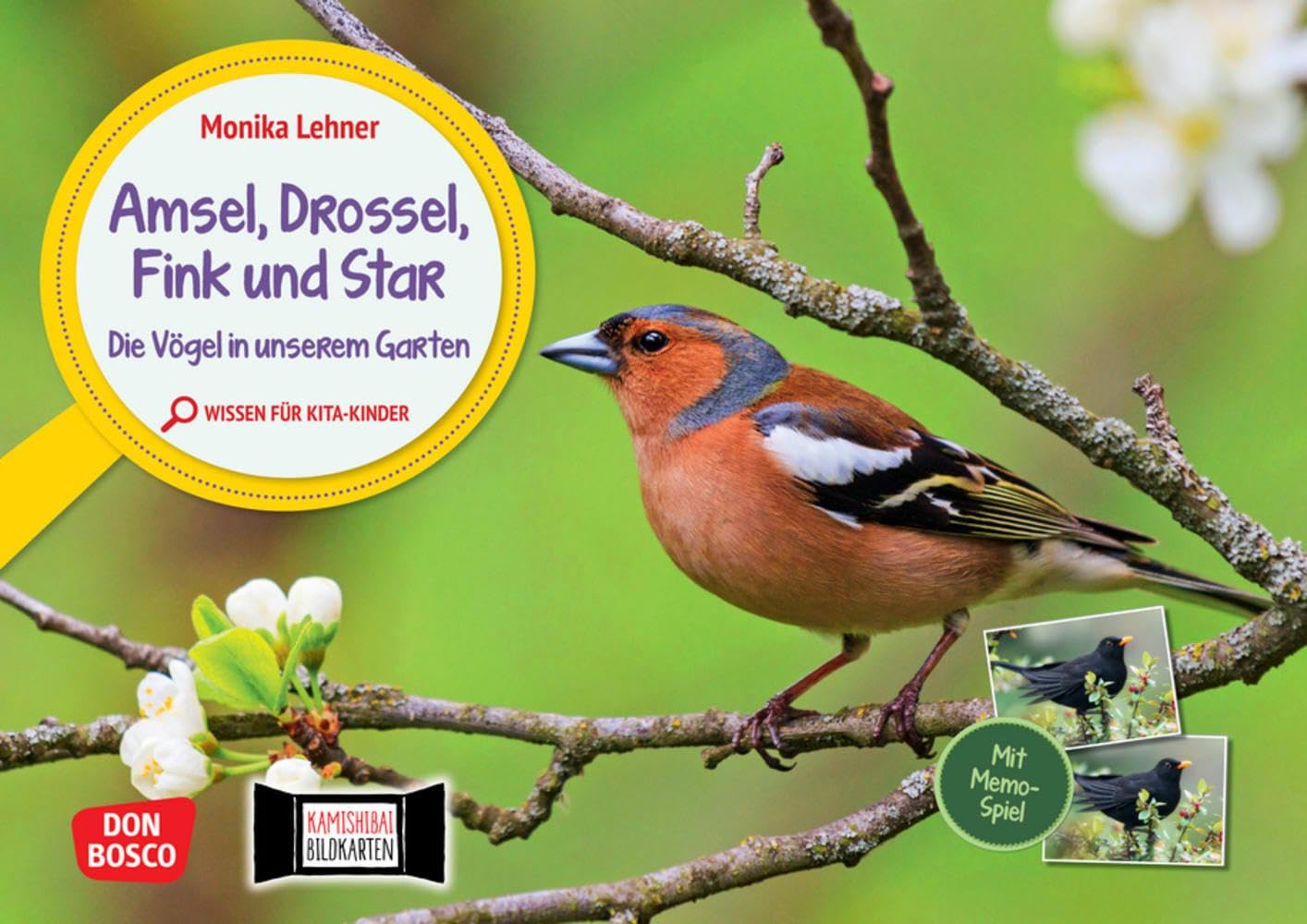 Amsel, Drossel, Fink und Star. Die Vögel in unserem Garten. Kamishibai Bildkarten und Memo-Spiel: Erzähltheater für Kita-Kinder mit Sachwissen zu Gartenvögeln book
