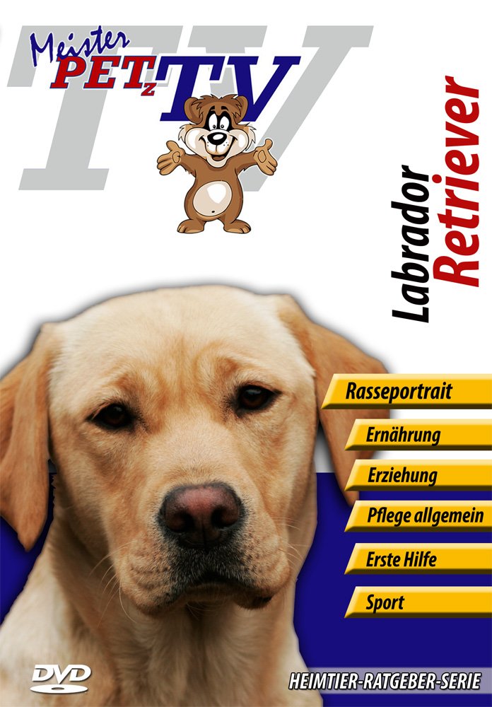 Labrador Retriever Films