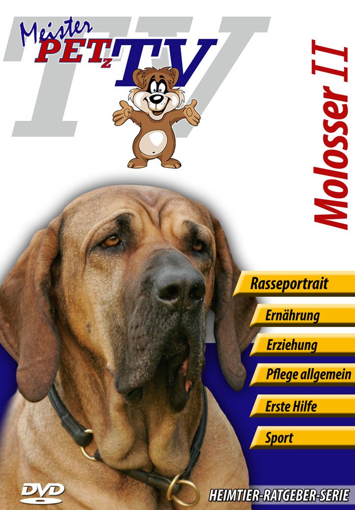 Molosser II Mastin de los Pirineos, Mastin Espanol, Tosa Inu, Fila Brasileiro Movies
