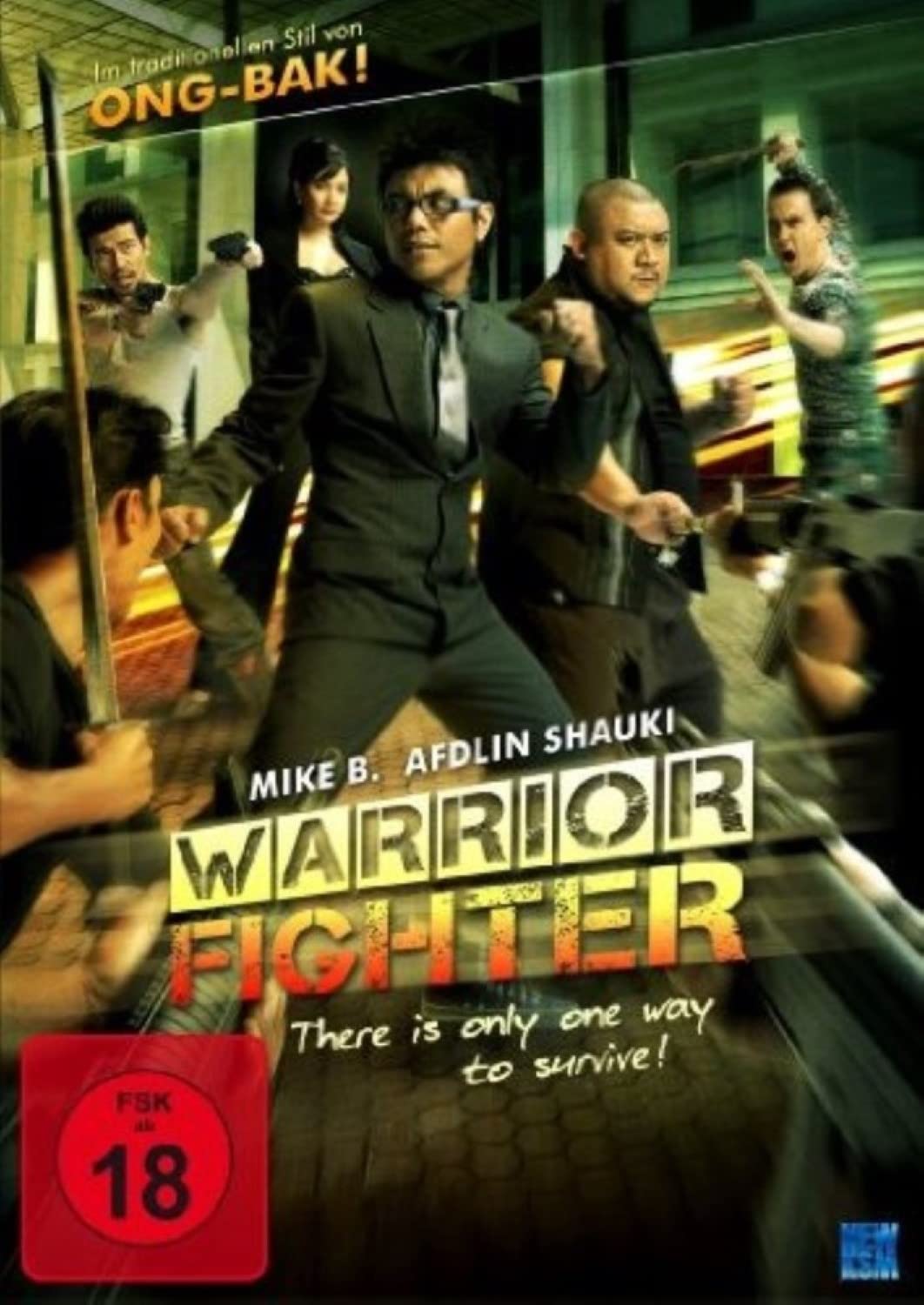Warrior Fighter Films