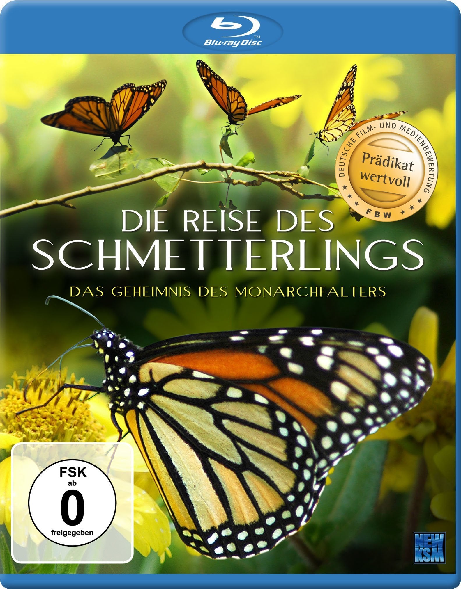 Die Reise des Schmetterlings - Das Geheimnis des Monarchfalters Films