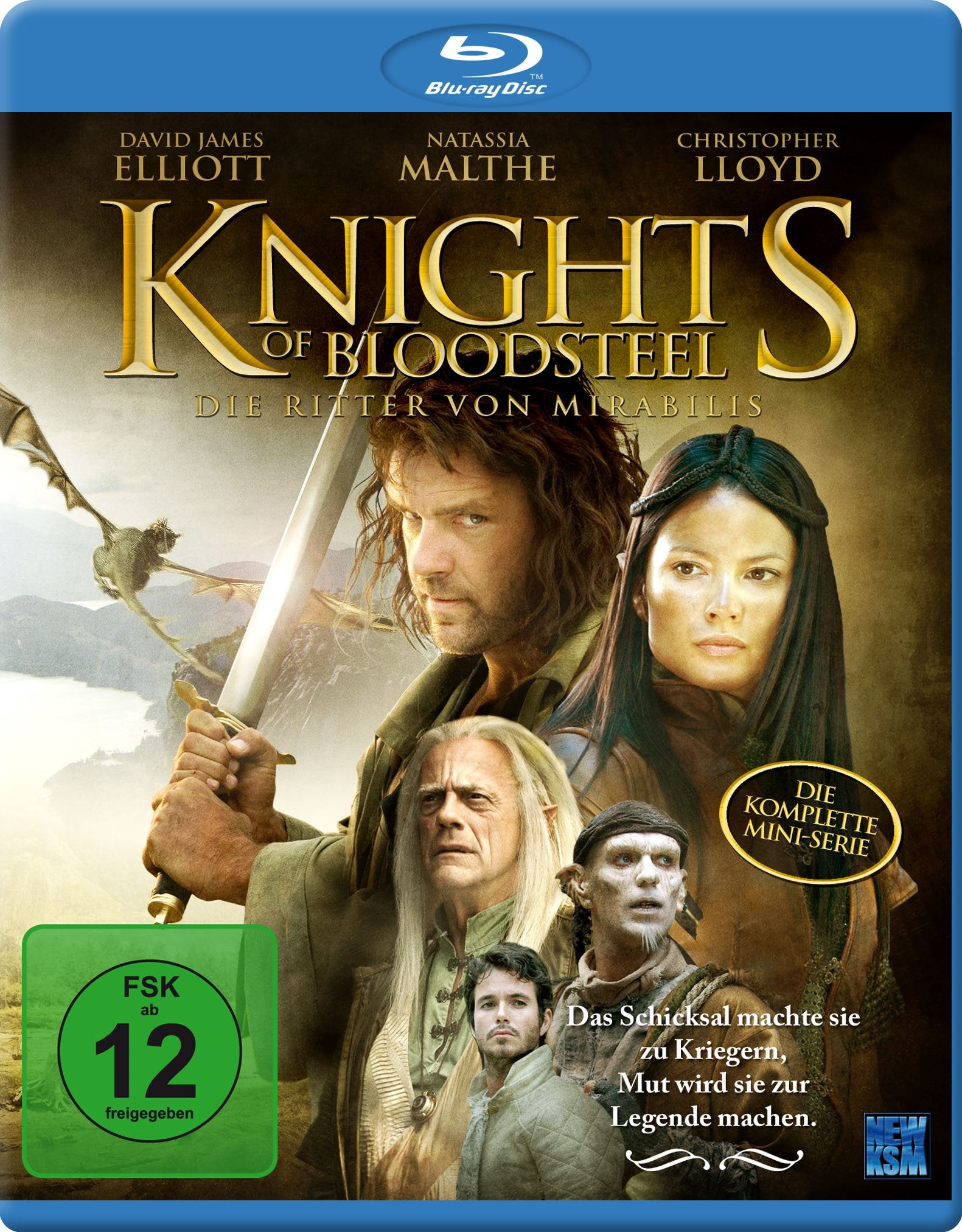 Knights Of Bloodsteel - Die Ritter von Mirabilis Box sets