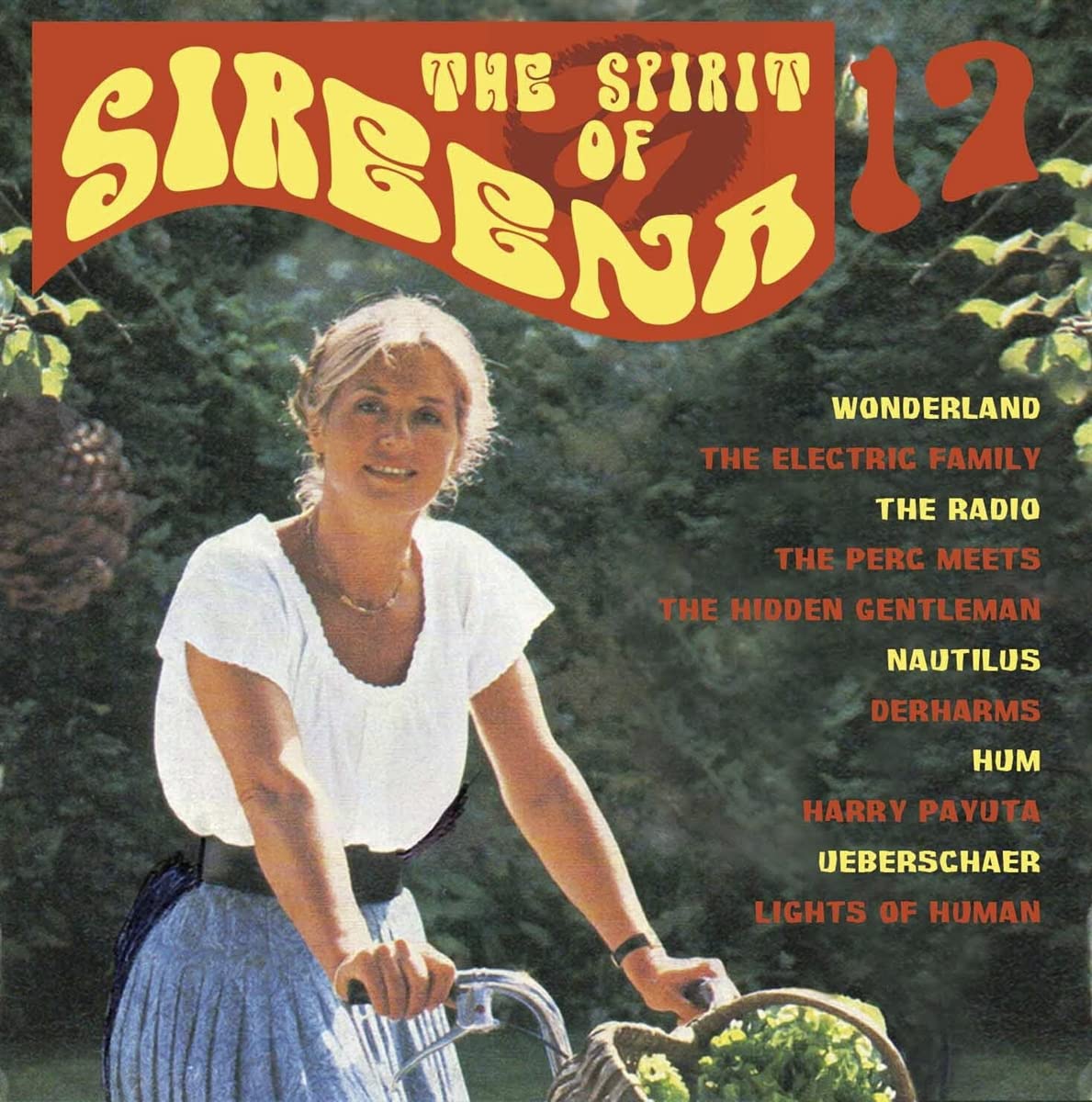 Spirit Of Sireena Vol. 17 Dance & Electronic