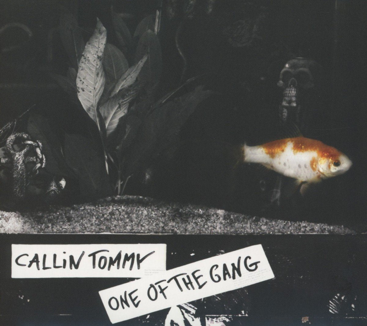 One Of The Gang Reggae