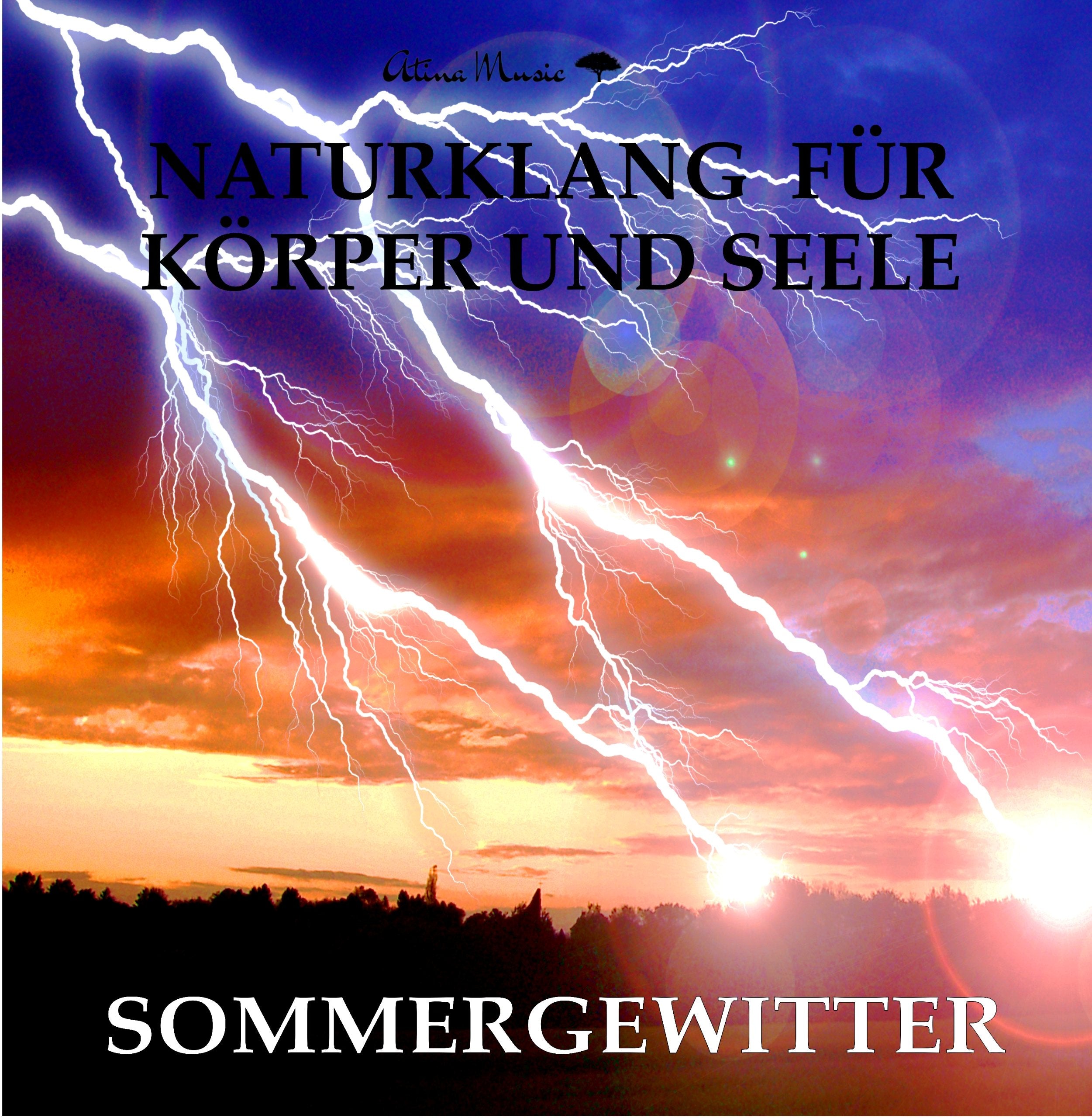 Naturklänge für Körper und Seele - Regen und Gewitter (ohne Musik) - Naturgeräusche für Entspannung und Videovertonung Music for Children