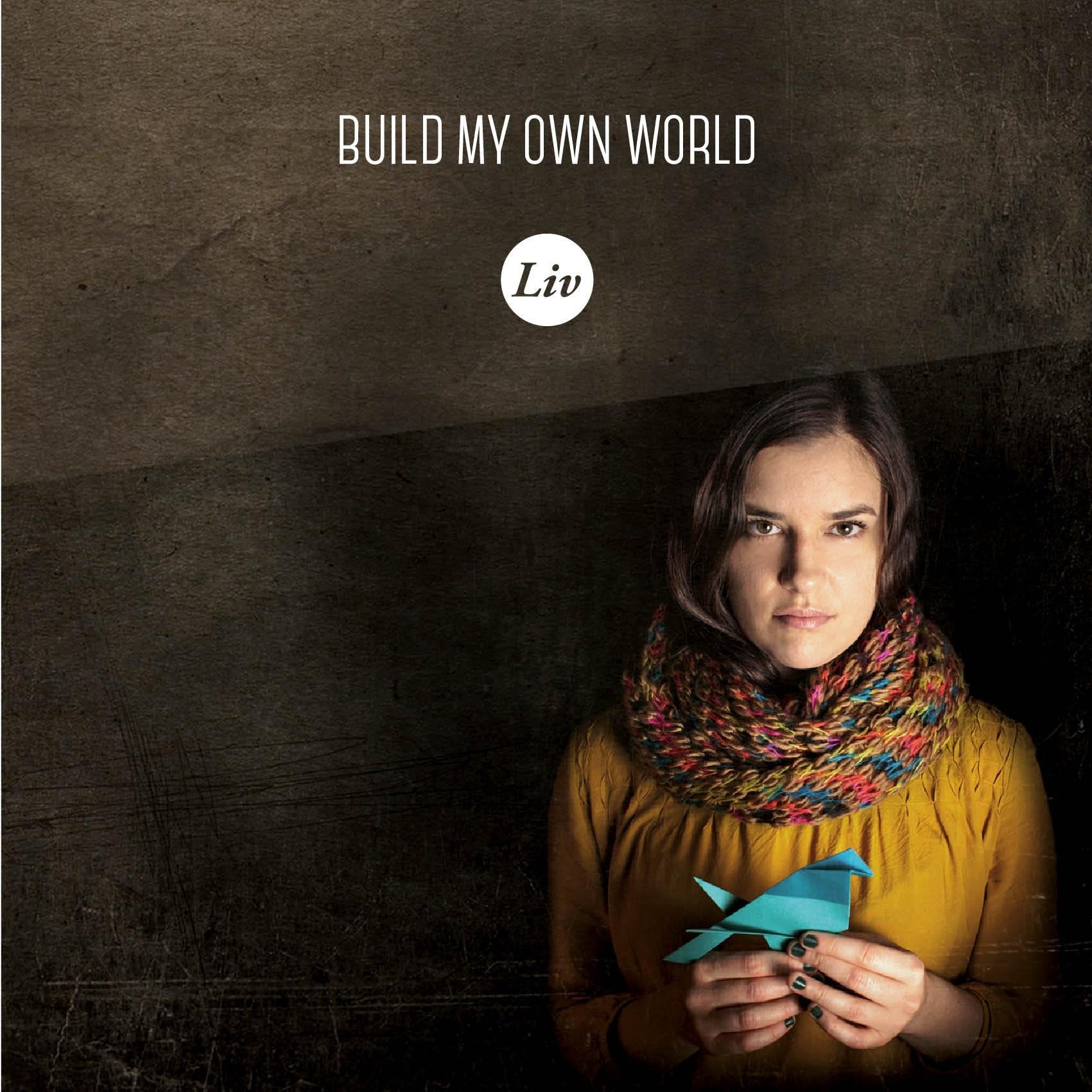 Product Image: Build My Own World