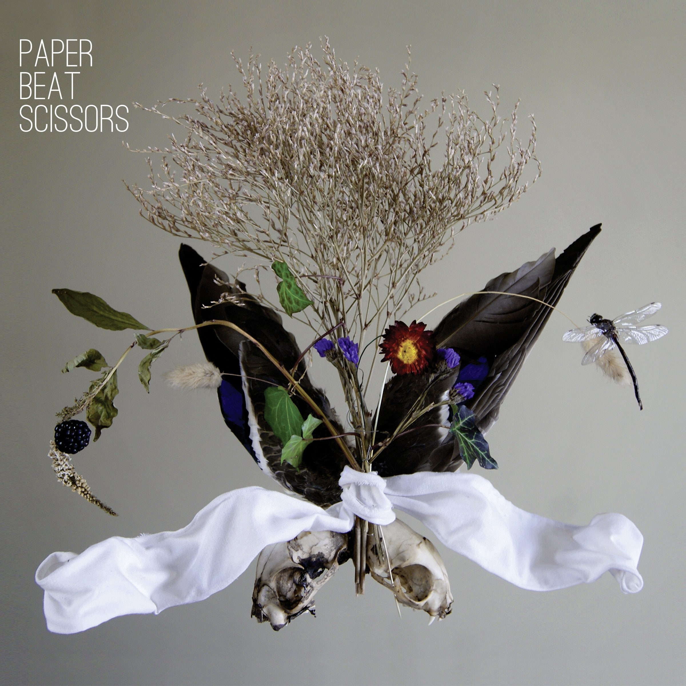 Product Image: Paper Beat Scissors
