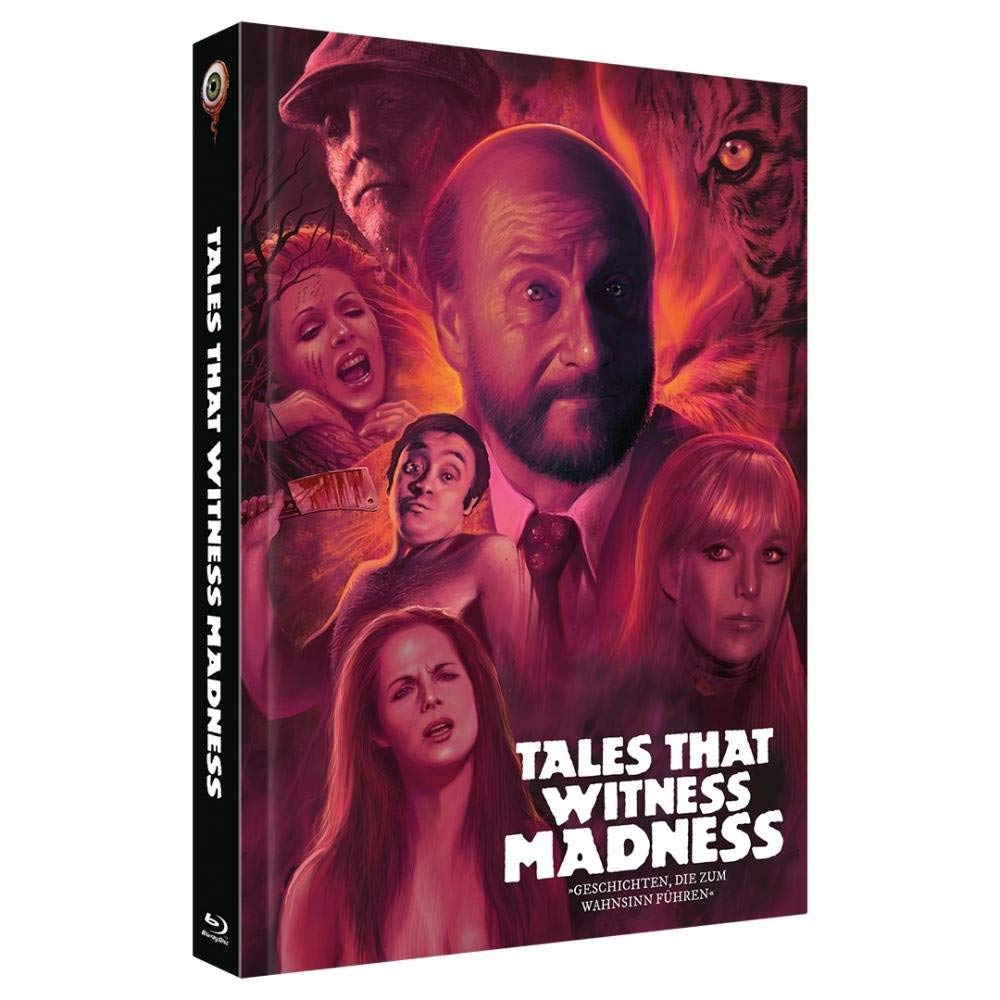 Geschichten, die zum Wahnsinn führen - Mediabook - Cover B - Limitiert auf 333 Stück (2-Disc Limited Collector's Edition Nr. 34) (+ DVD) Movies
