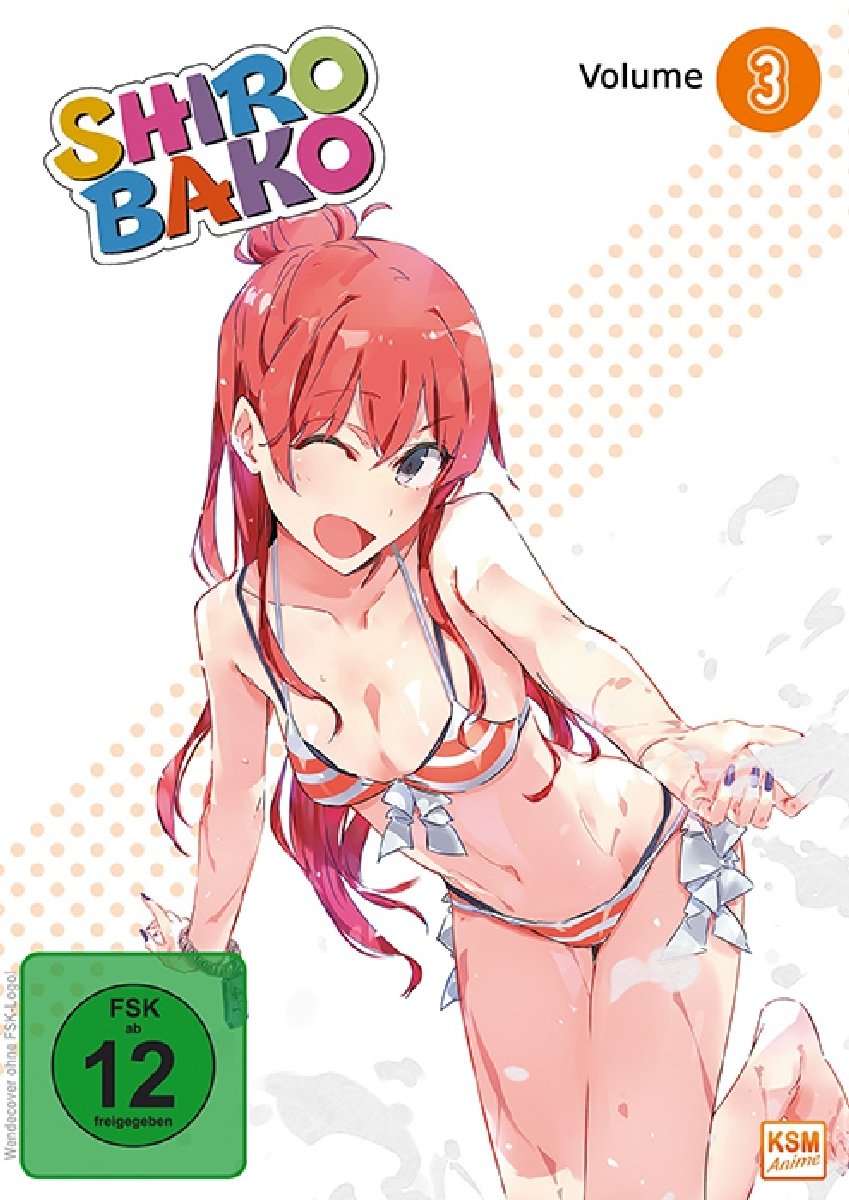 Shirobako - Staffel 1.3 - Episode 09-12 (DVD) Box sets